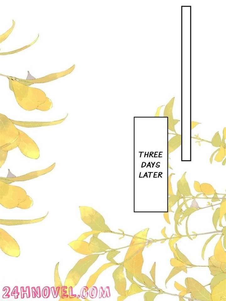 The Cold President’s Little Cutie Chapter 60 - Page 33