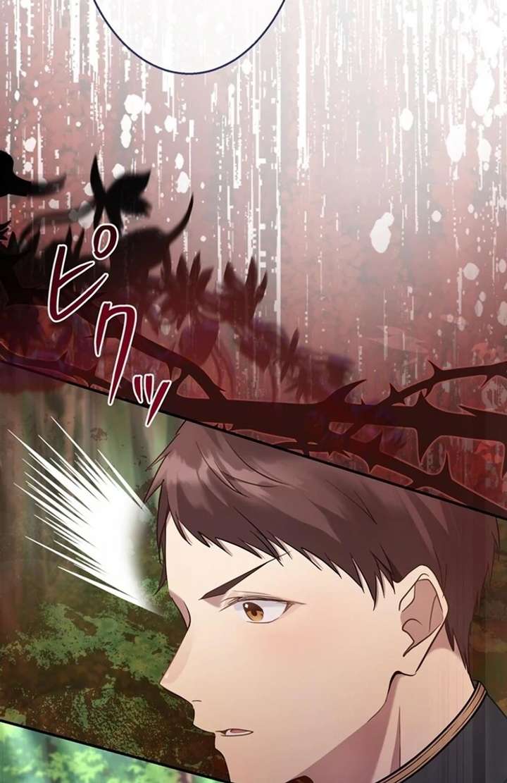 The Coldhearted Duke Is Obsessed With the Seal Princess - Chapter 6 - 117