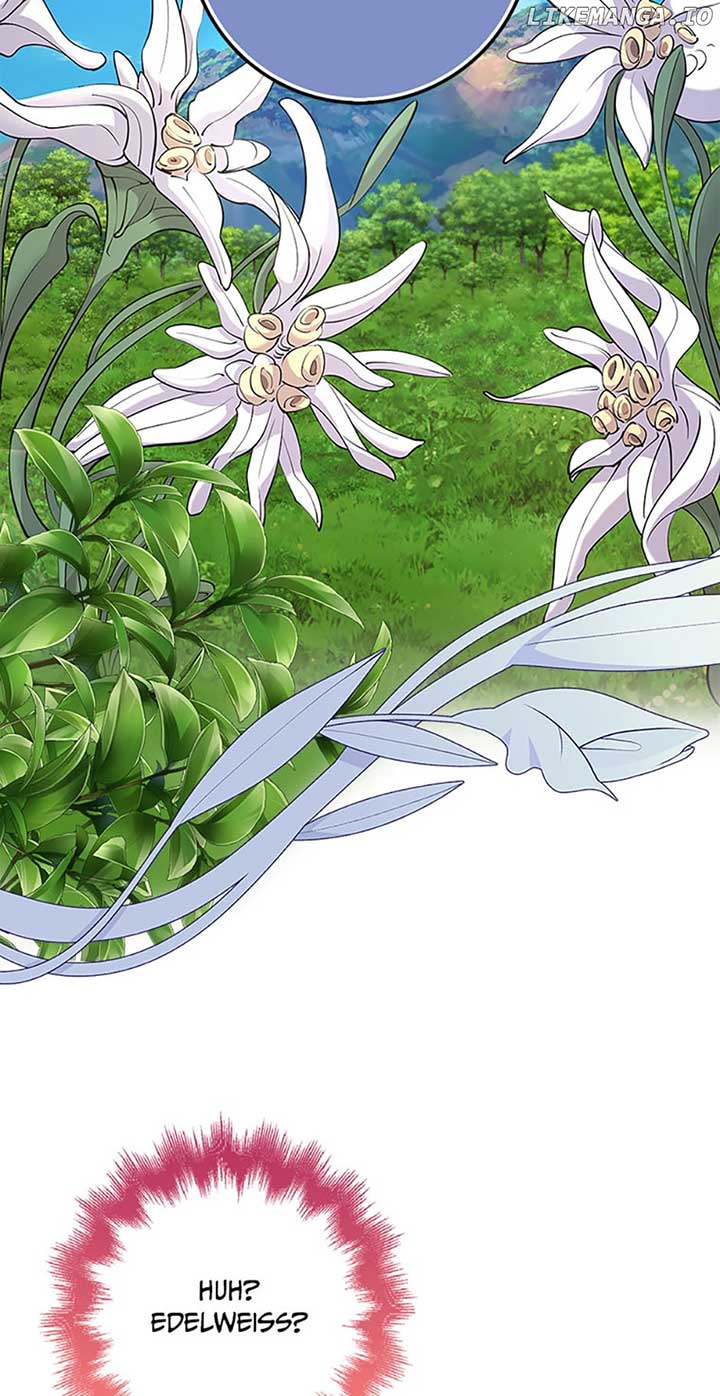 The Dungeon’s Time-Bound S-Rank Beauty Chapter 24 - Page 33