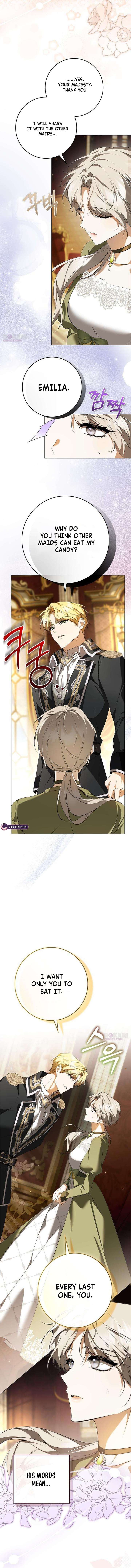 The Emperor Is Annoyed by the Maid Chapter 11 - Page 4