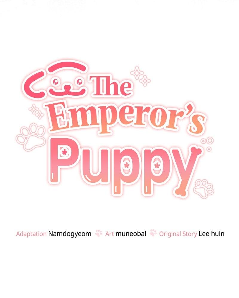 The Emperor's Puppy - Chapter 44 - 7