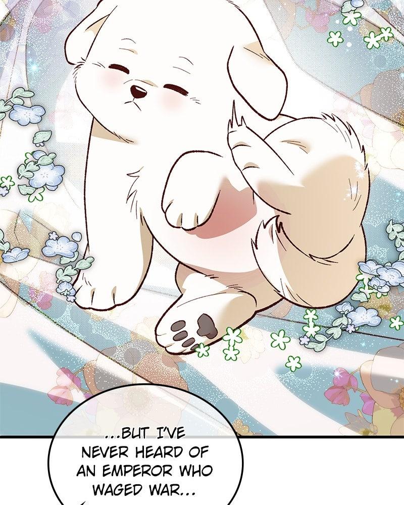 The Emperor's Puppy - Chapter 44 - 69