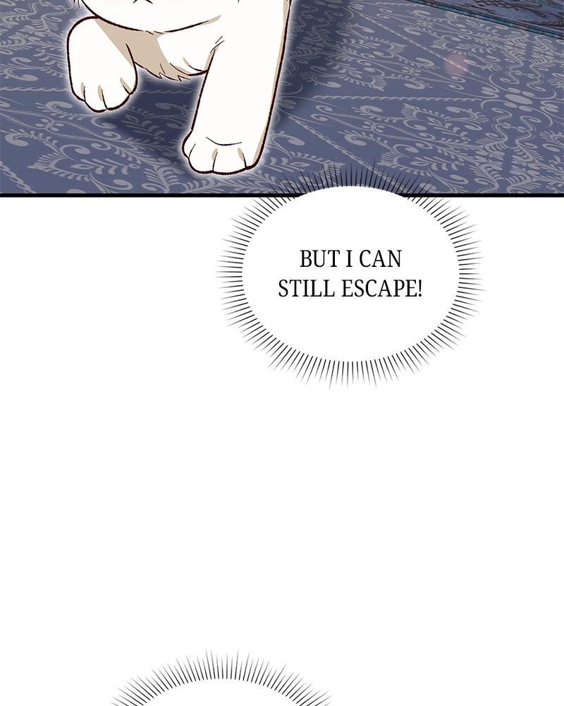 The Emperor's Puppy - Chapter 44 - 123