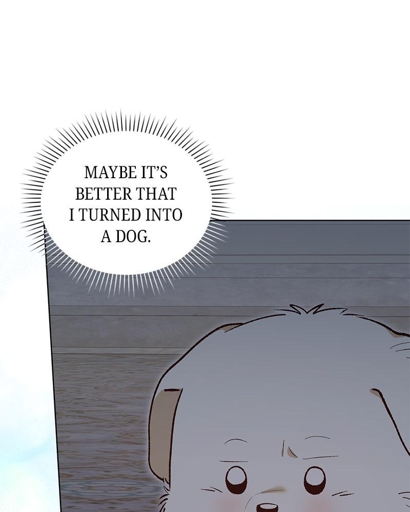 The Emperor's Puppy - الفصل 45 - 18