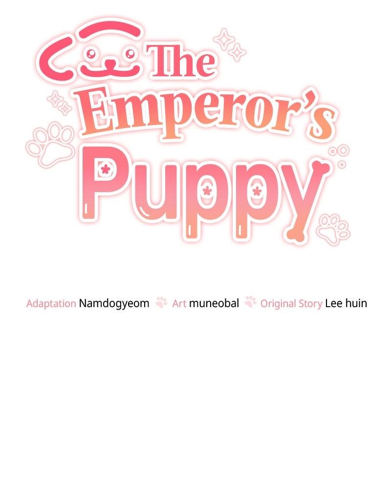 The Emperor's Puppy - الفصل 45 - 21