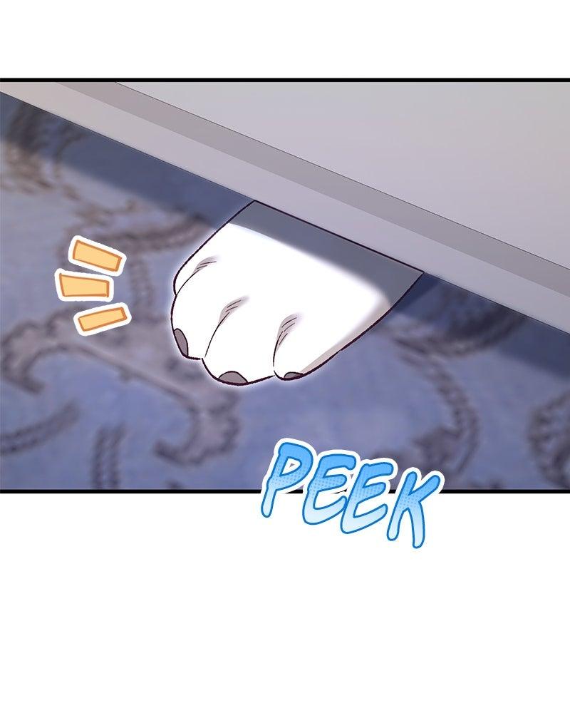 The Emperor's Puppy - الفصل 45 - 65