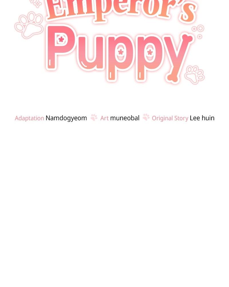 The Emperor's Puppy Chapter 47 - Page 33