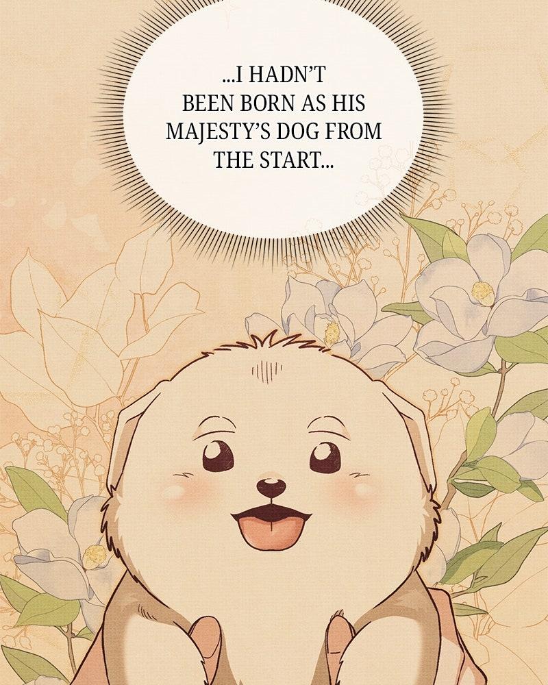 The Emperor's Puppy Chapter 48 - Page 23