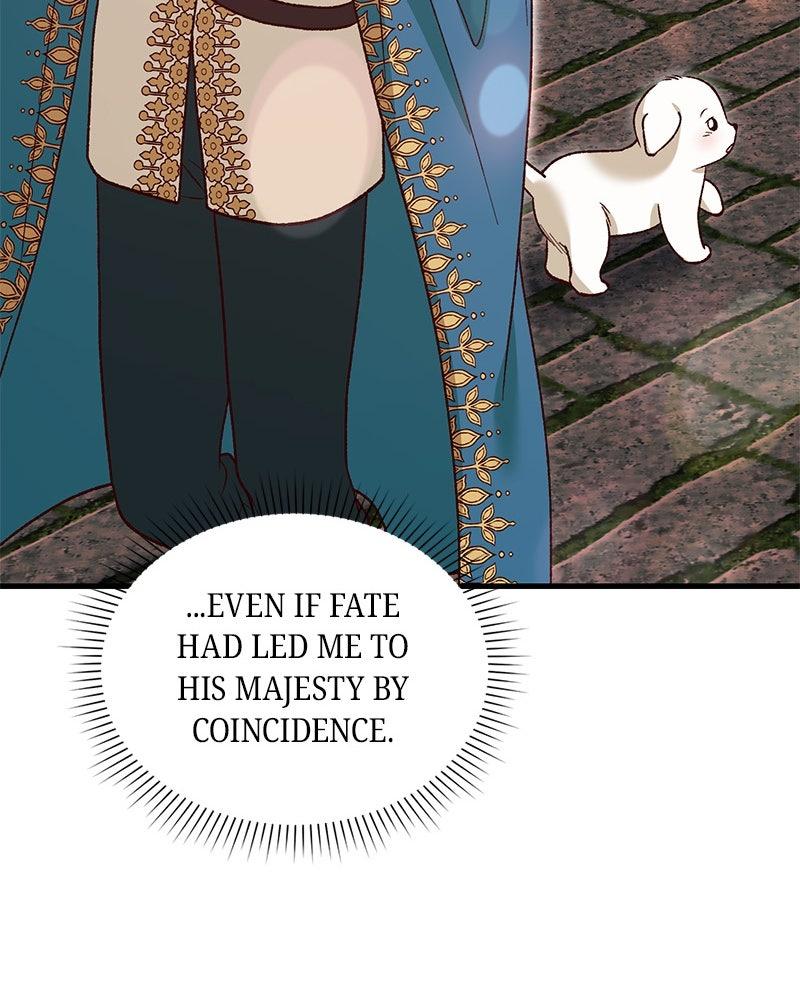The Emperor's Puppy Chapter 48 - Page 26