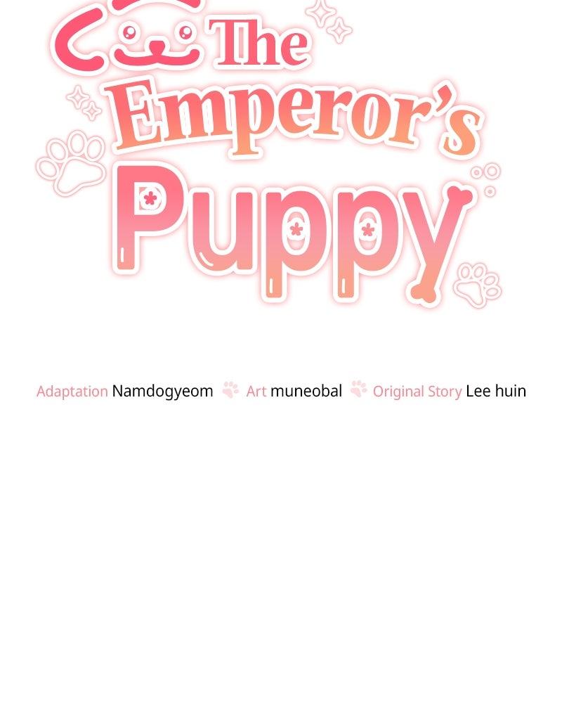 The Emperor's Puppy Chapter 48 - Page 51