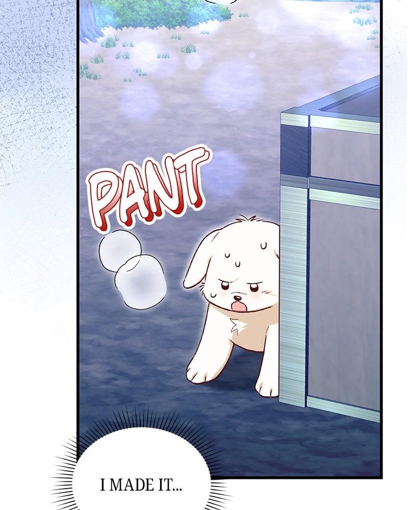 The Emperor's Puppy Chapter 48 - Page 111