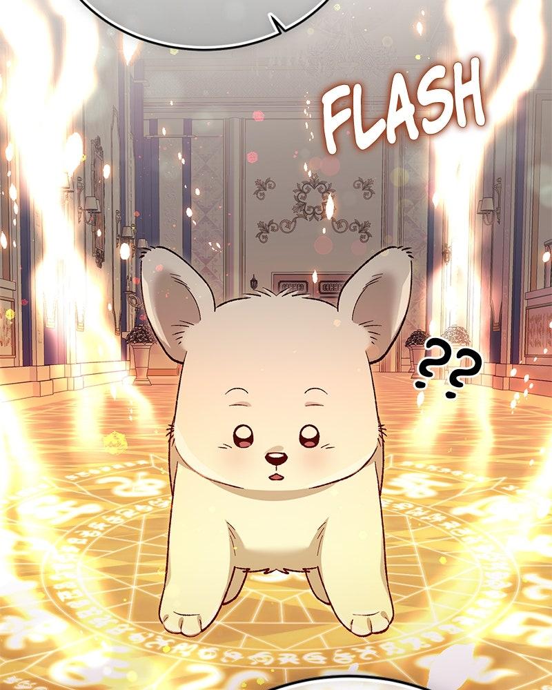 The Emperor's Puppy Chapter 49 - Page 47
