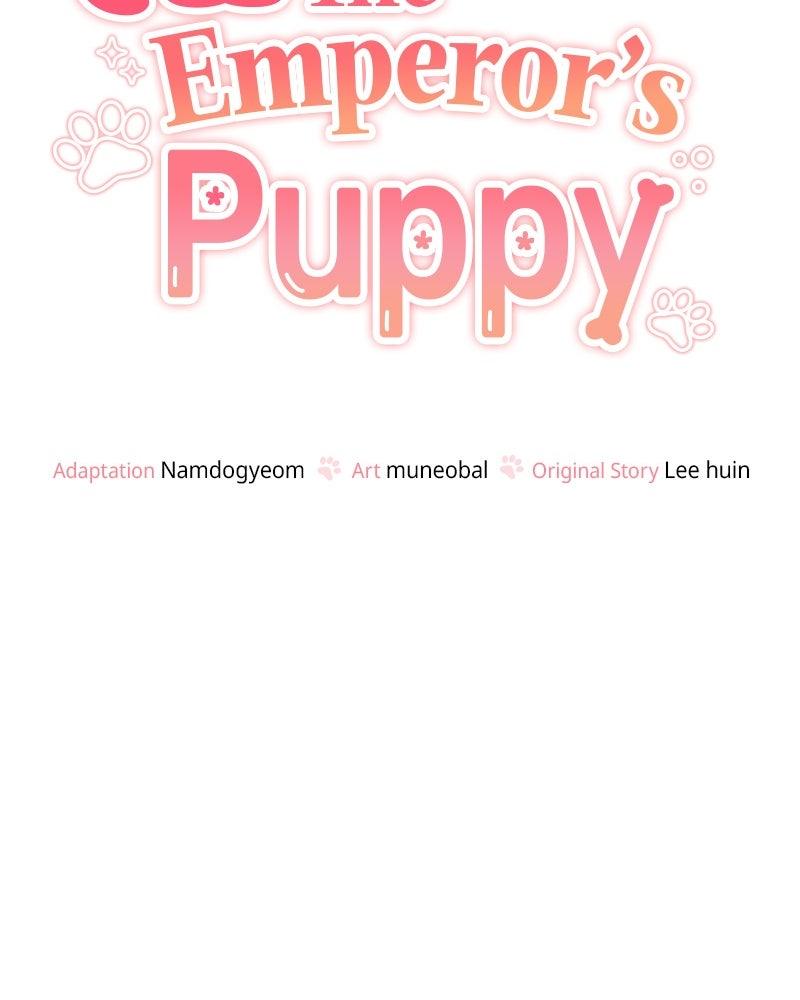 The Emperor's Puppy Chapter 49 - Page 57