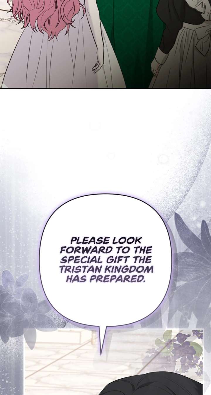 The Empress Wants To Avoid the Emperor Chapter 103 - Page 11