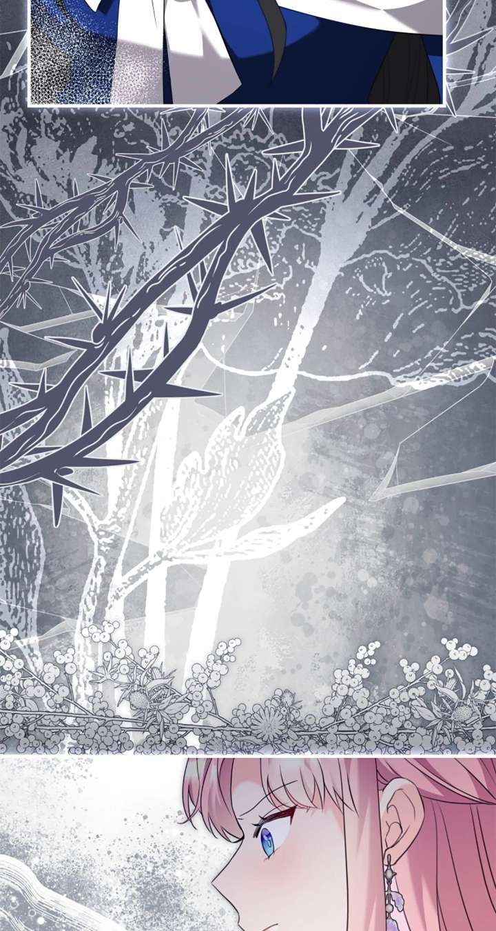 The Empress Wants To Avoid the Emperor Chapter 104 - Page 27