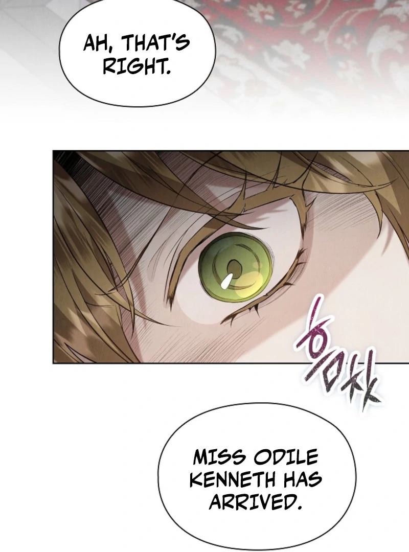 The Extra Decided to Be Fake Chapter 40 - Page 5