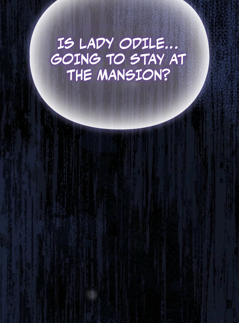 The Extra Decided to Be Fake Chapter 40 - Page 11