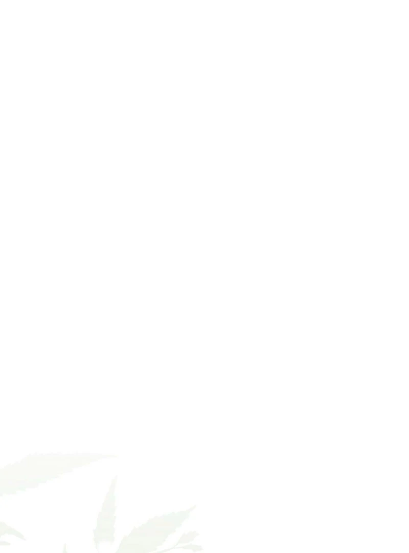 The Extra Decided to Be Fake Chapter 44 - Page 55