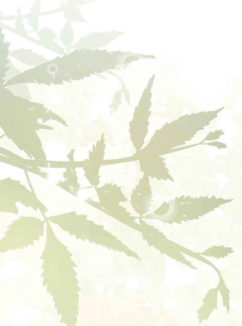 The Extra Decided to Be Fake Chapter 44 - Page 56