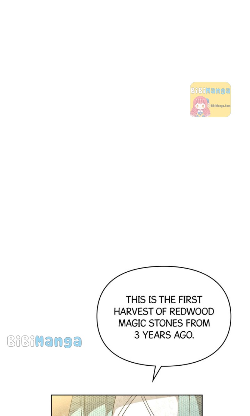 The Forgotten Princess Wants To Live In Peace - Chapter 89 - 27