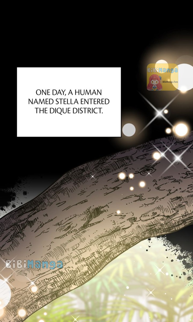 The Forgotten Princess Wants To Live In Peace - Chapter 89 - 47