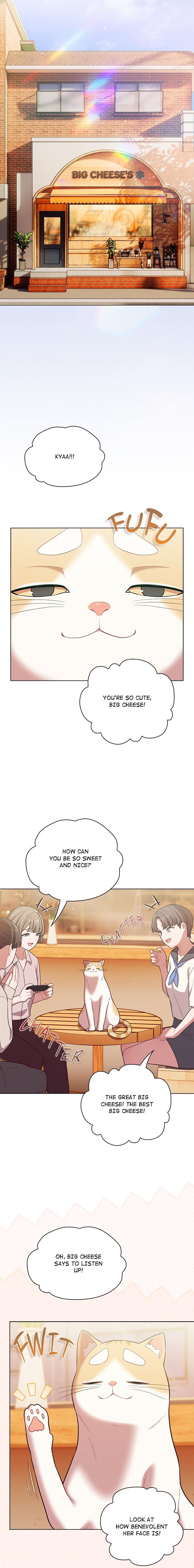 The General is Here! Chapter 53 - Page 15