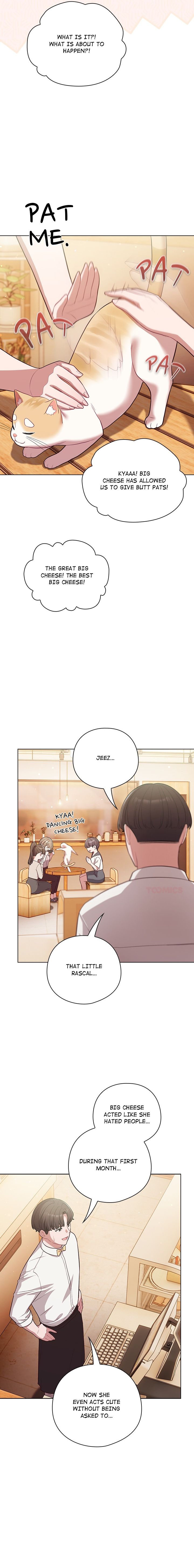 The General is Here! Chapter 53 - Page 16