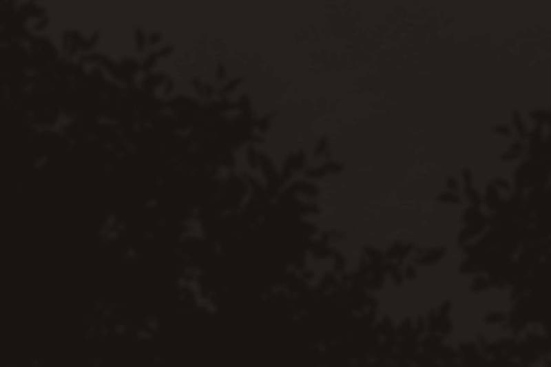 The Ghostly Doctor Chapter 576 - Page 26