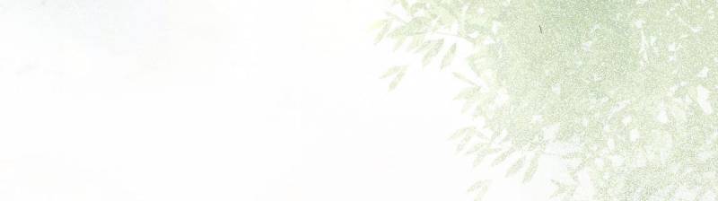 The Ghostly Doctor Chapter 587 - Page 42