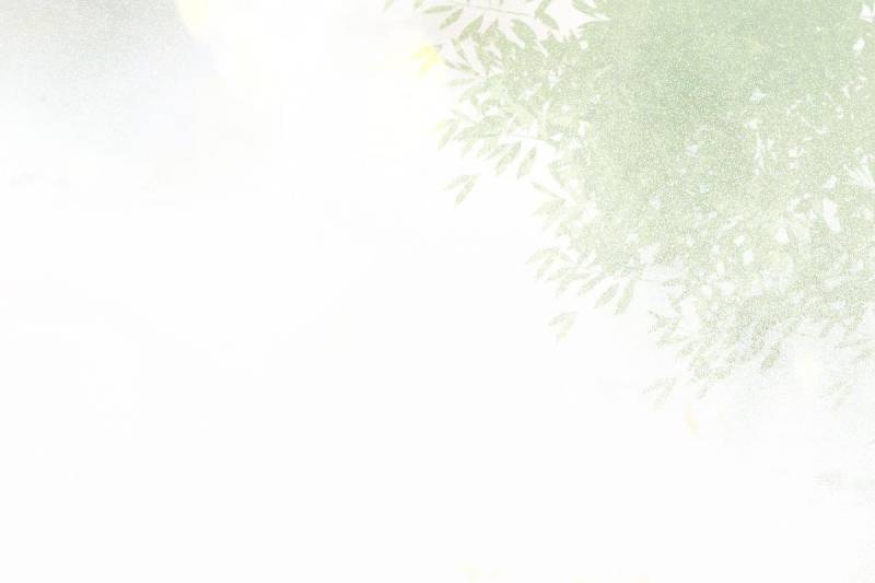 The Ghostly Doctor Chapter 591 - Page 13