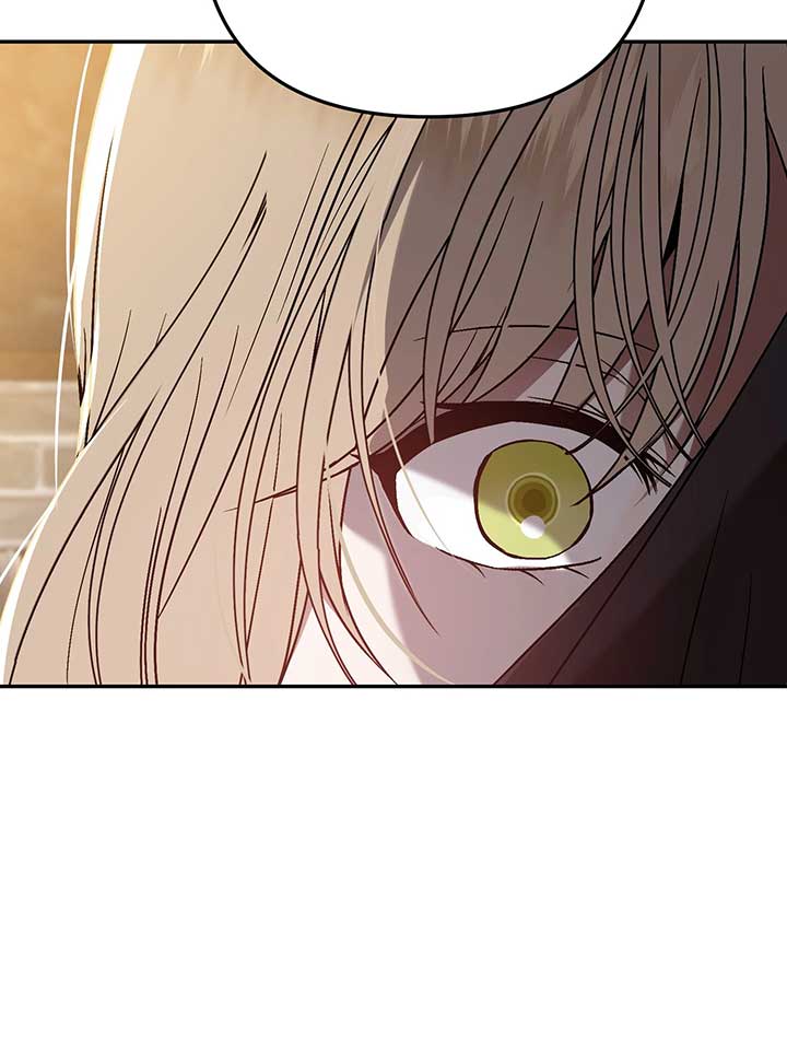 The Handmaiden Dreams at Sunset - Chapter 61 - 74