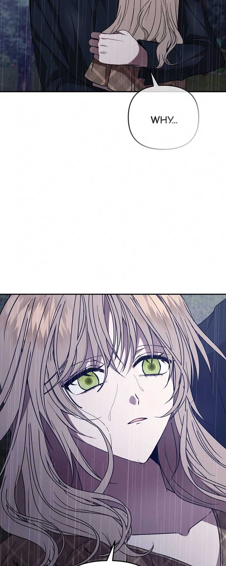 The Handmaiden Dreams at Sunset - Chapter 63 - 53