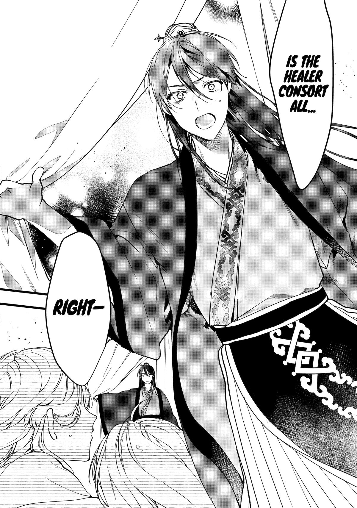 The Healer Consort Chapter 4 - Page 26