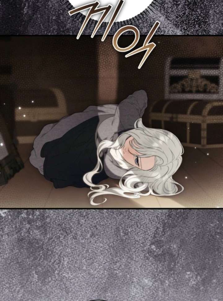 The Heroine Wants Me As Her Sister-in-Law Chapter 96 - Page 96