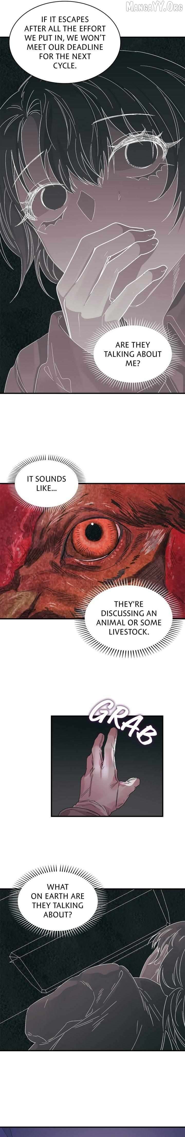 The House of Blind Sheep (Official) Chapter 24 - Page 17