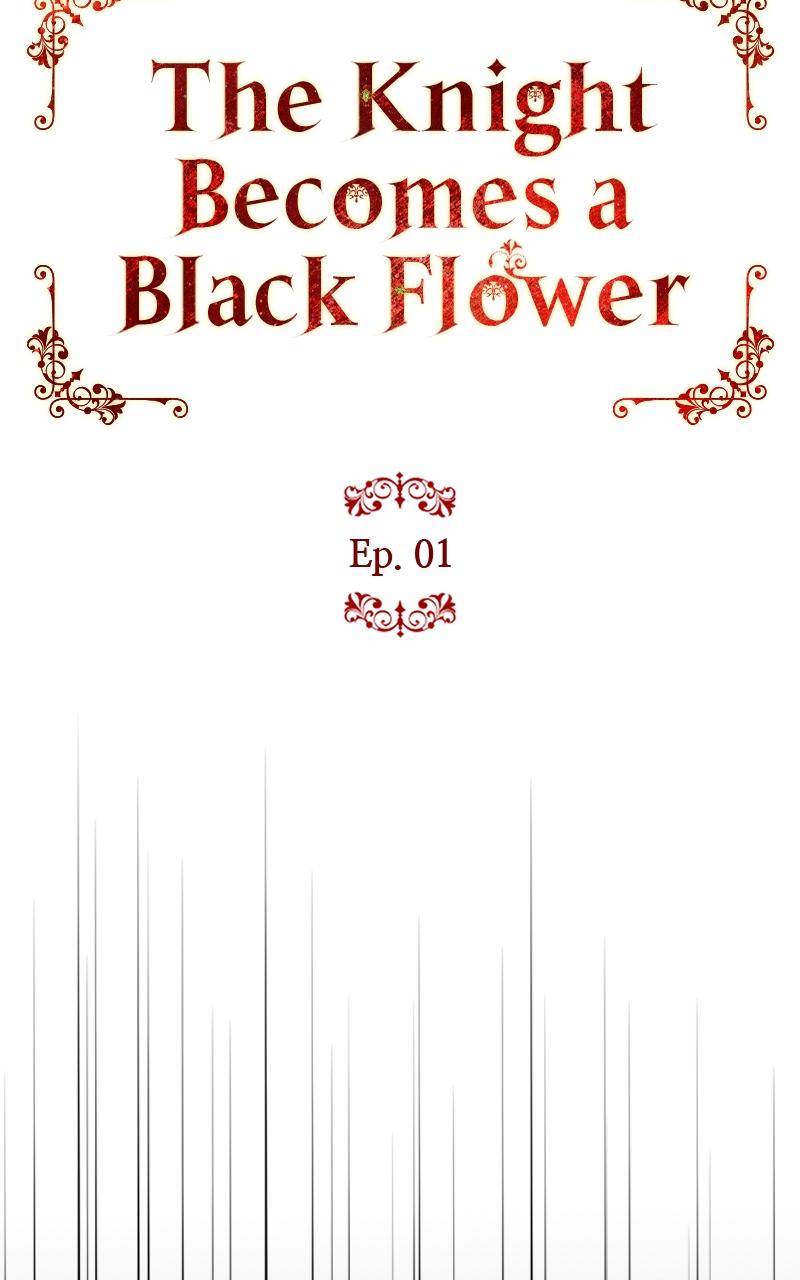 The Knight Becomes a Black Flower Chapter 1 - Page 47