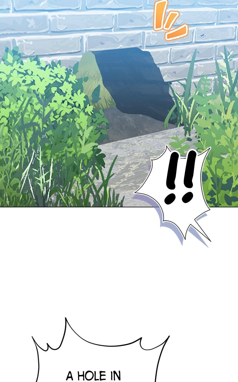 The Knight Becomes a Black Flower Chapter 27 - Page 17