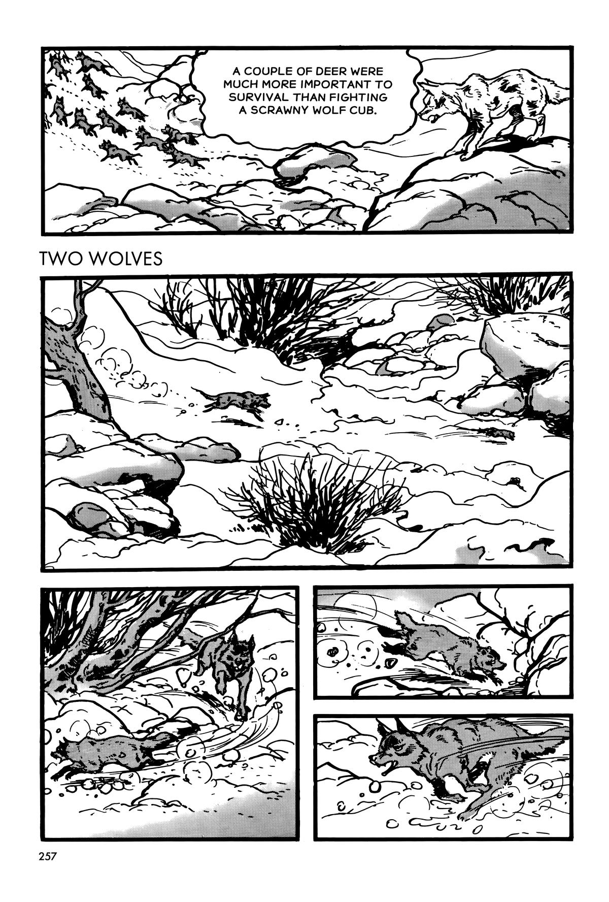 The Legend of Kamui Chapter 9 - Page 59