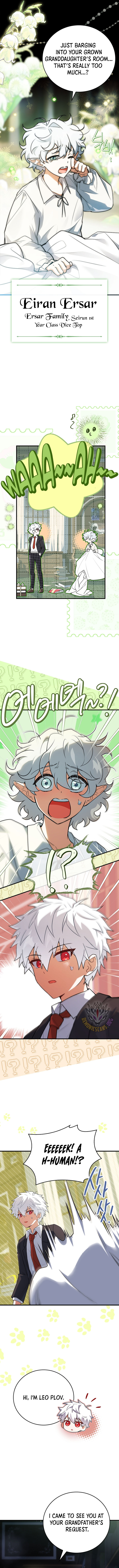 The Legendary Hero is an Academy Honors Student Chapter 39 - Page 15