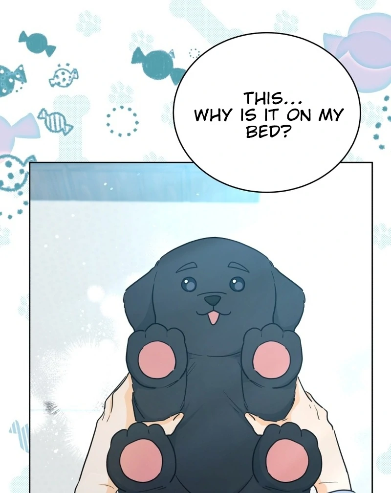 The man who fell in love with me - Chapter 22 - 71