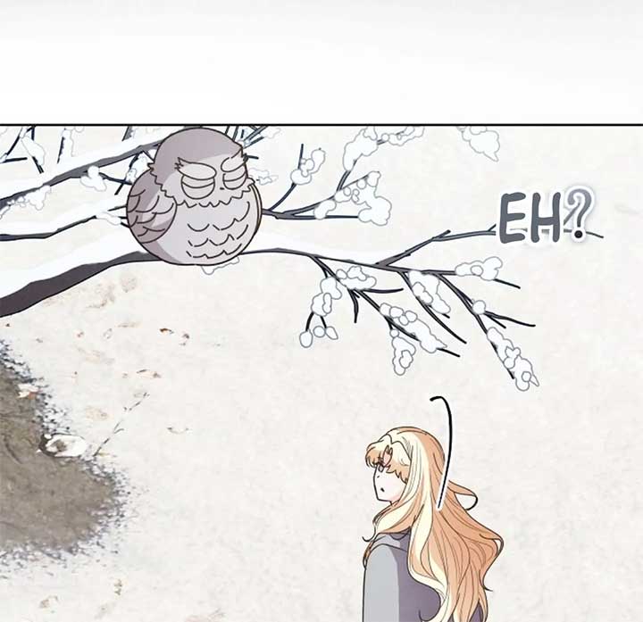 The Monster Duke Mistook Me for His Wife Chapter 11 - Page 95