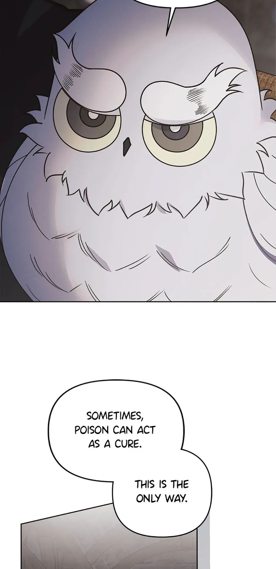 The Monster Duke Mistook Me for His Wife Chapter 32 - Page 23