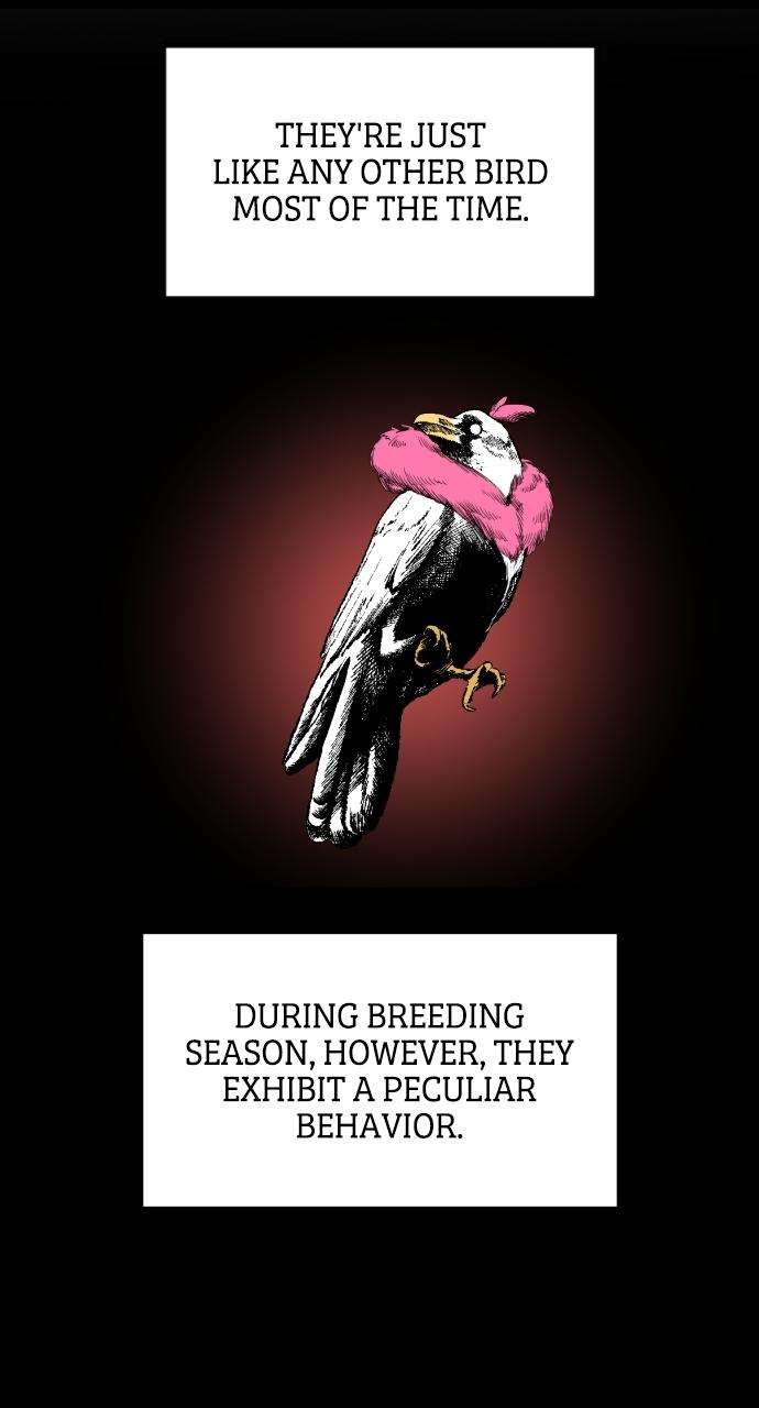 The Nine Cloud Dream: Zero Chapter 4 - Page 63