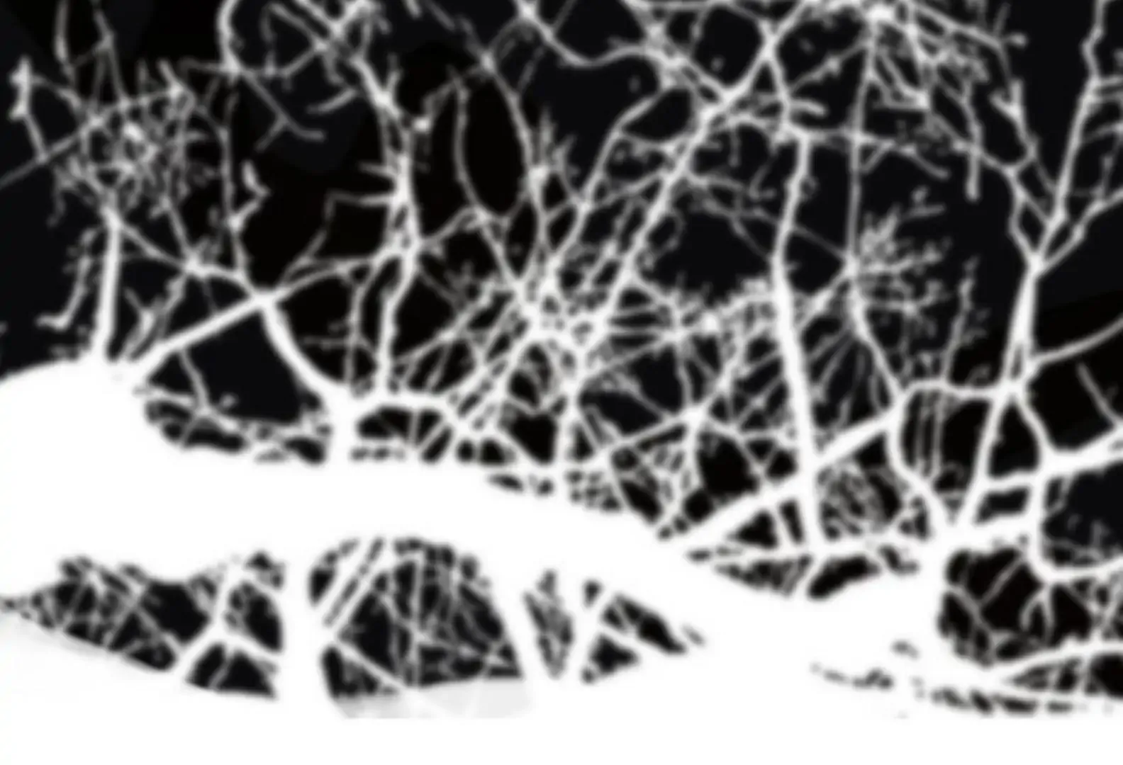 The Pale Horse Chapter 284 - Page 42