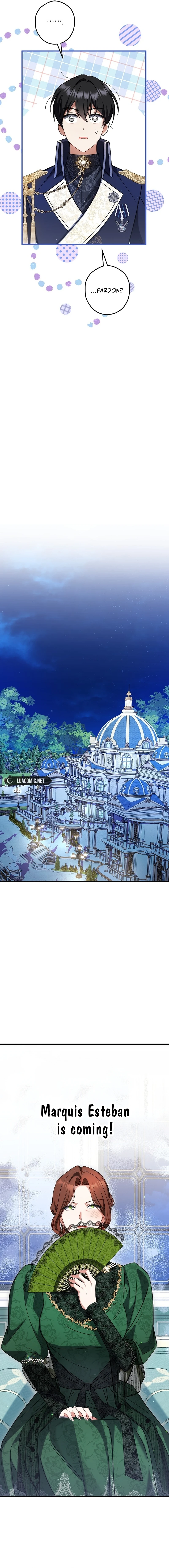 The Princess Has the Constitution of an Eagle Workshop - Chapter 31 - 9