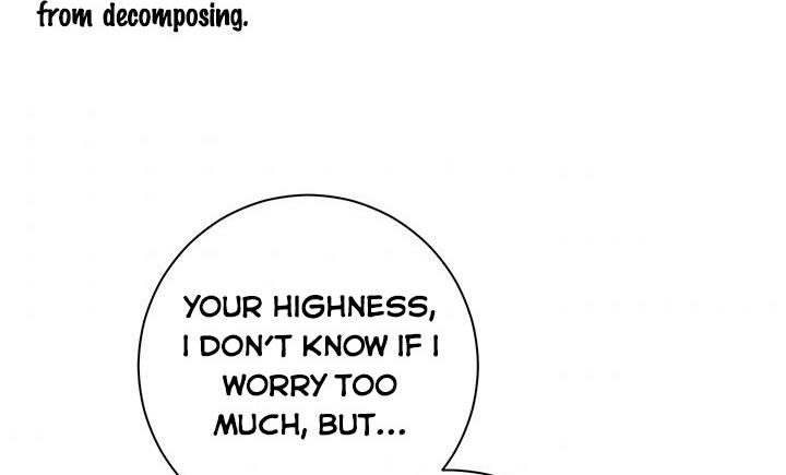 The Princess’s Double Life Chapter 11 - Page 198