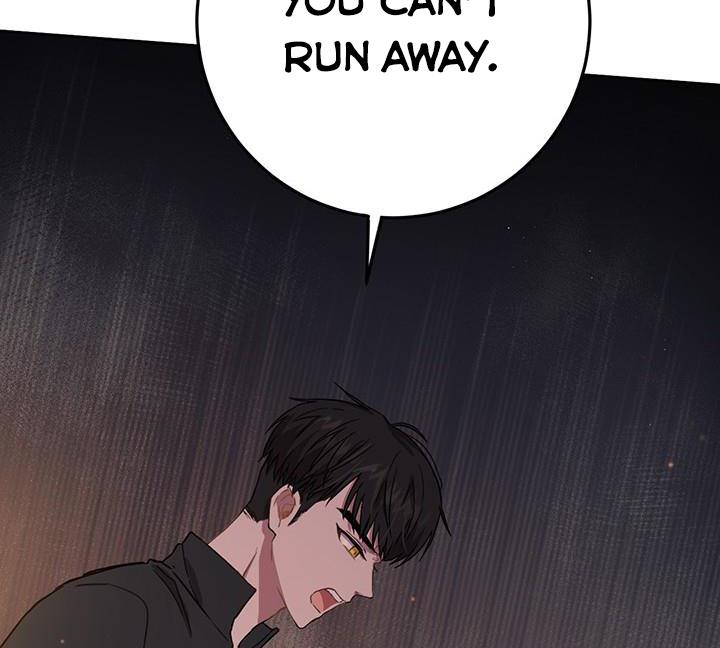 The Princess’s Double Life Chapter 12 - Page 30