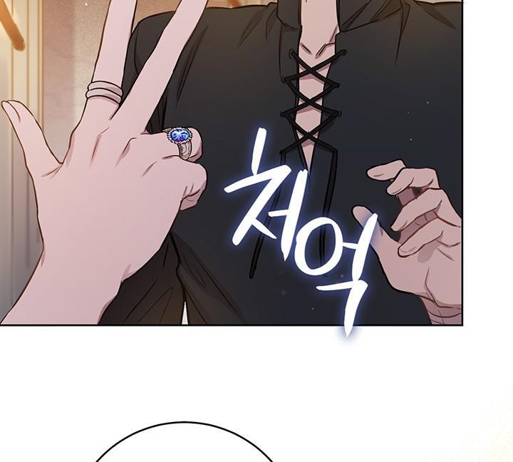 The Princess’s Double Life Chapter 12 - Page 67