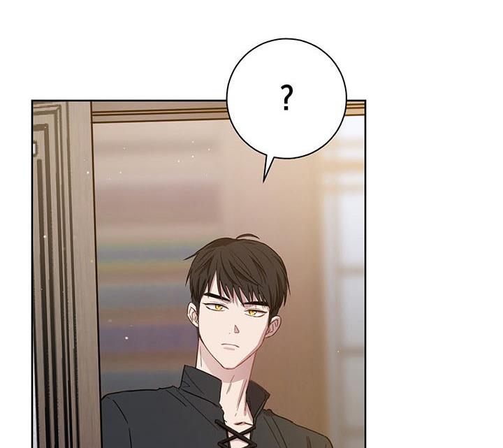 The Princess’s Double Life Chapter 13 - Page 13