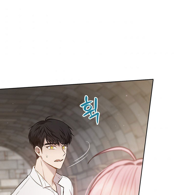 The Princess’s Double Life Chapter 15 - Page 9